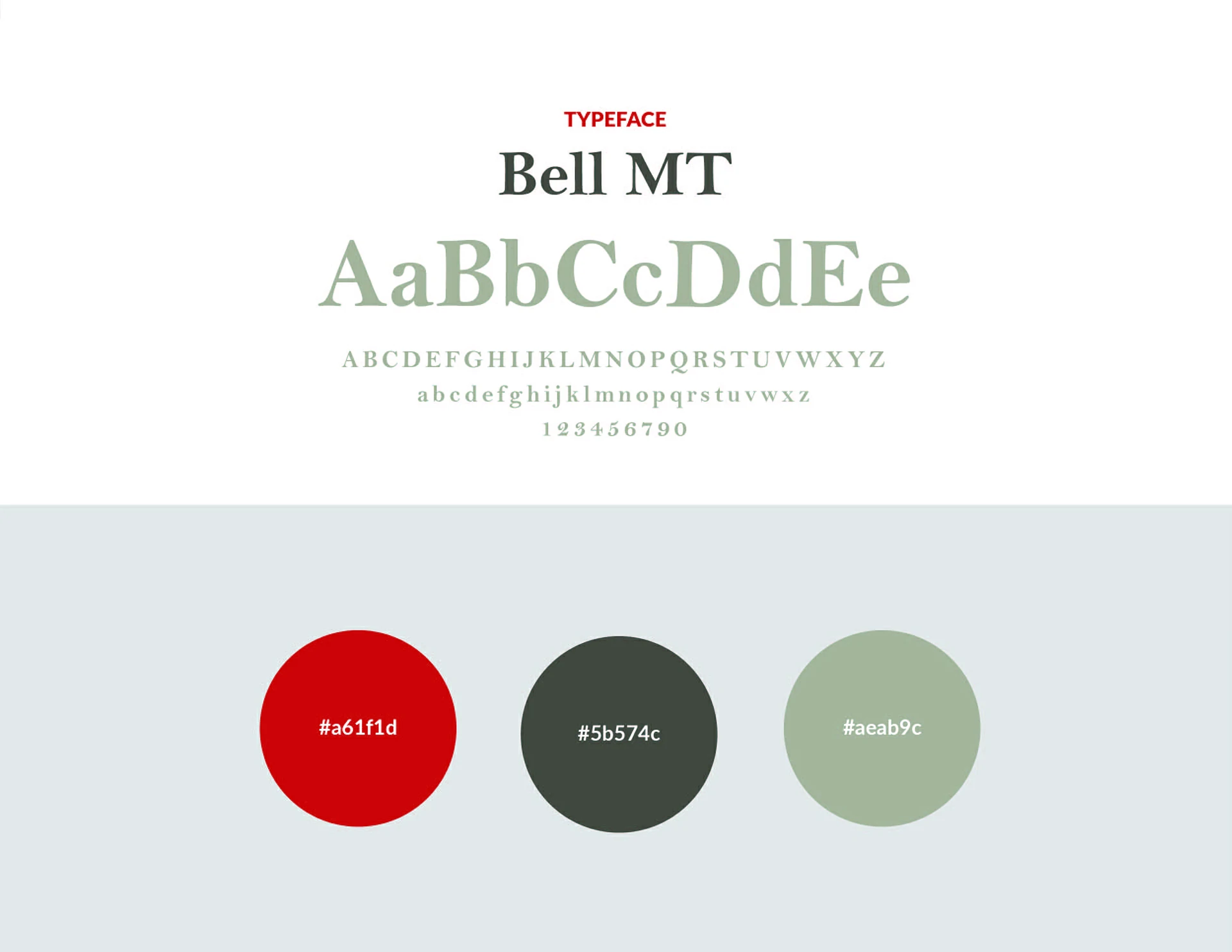 O Viking visual identity board showing Bell MT typeface and red, charcoal and sage colour palette